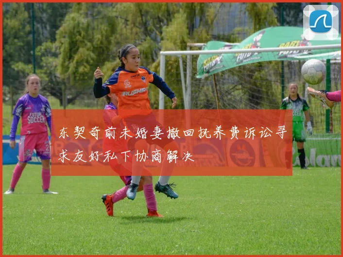 东契奇前未婚妻撤回抚养费诉讼寻求友好私下协商解决
