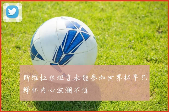 斯维拉尔坦言未能参加世界杯早已释怀内心波澜不惊